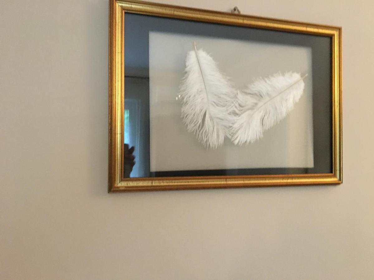 B&B La Libellula Castelnuovo Nigra Buitenkant foto